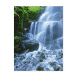 Columbia River Postcard