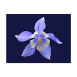 Columbine 158 ~ postcard