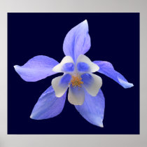 Columbine 158 ~ print