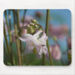 Columbine | Akelei Mouse Mat
