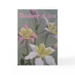 Columbine cards