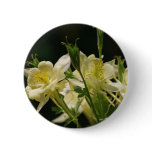 Columbine flower and its meaning pinback button
