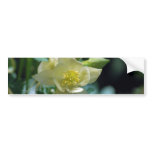 Columbine flower means to win bumper stickers