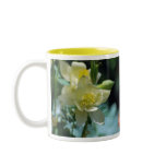 Columbine flower means to win coffee mugs