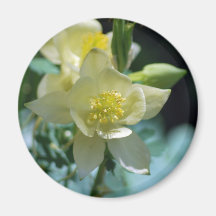 Columbine flower means to win refrigerator magnet
