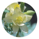 Columbine flower means to win stickers