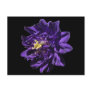 Columbine flower ~ postcard