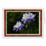 Columbines Greeting Card