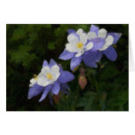 Columbines Card