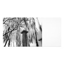 Column Under Weeping tree Black and White Picture Picture Card