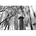 Column Under Weeping tree Black and White Picture Photo Cutout