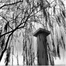 Column Under Weeping tree Black and White Picture Photo Cut Out