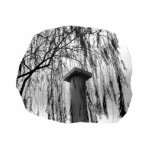 Column Under Weeping tree cutout Photo Cut Out