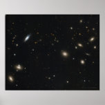 Coma Cluster of Galaxies 20x16 (20x16) Posters