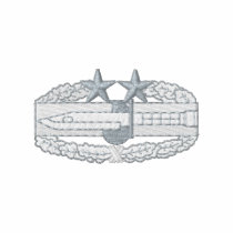 Combat Action Badge 3rd Award