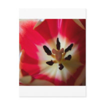 Come closer postcards