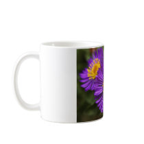 come & go stars mug