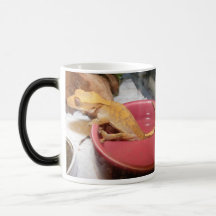 Come on in the water is nice mug