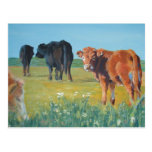 'Come on, keep up' by Mike Jory Postcards