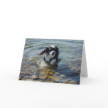 "Come Play With Me" Greeting Card