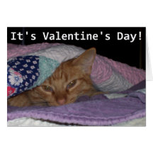 Come Snuggle Cat Valentine Greeting Cards