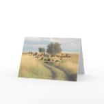 Comfort cards