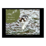 Comfort Zone Life Lessons from a Cat ACEO Art Card business cards