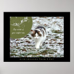 Comfort Zone Life Lessons from a Cat Art Print