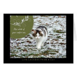 Comfort Zone Life Lessons from a Cat Card