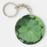Comfy Snail Key Chain