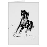 Comic Drawing Horse cards