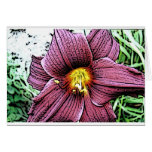 Comic Tigerlilly Cards