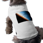 Coming Home pet clothing