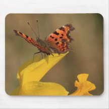Comma Butterfly and Daffodil Mouse Mats