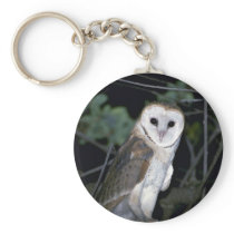 Common barn-owl, Tyto alba, California, U.S.A. Keychain