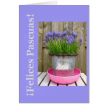 Common blue hyacints easter greeting - spanish cards