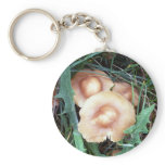 Common Bonnet Mushroom Key Chain keychains