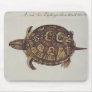 Common Box Tortoise Mousepads
