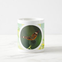 Common Buckeye Butterfly Mugs
