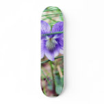 Common Dog Violet skateboards