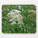 Common Elderberry Coordinating Items mousepads