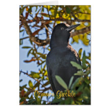 Common Grackle Card