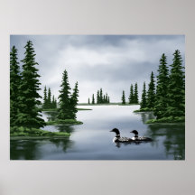 Common Loon Art Prints