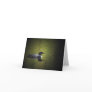 Common Loon Greeting Card