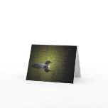 Common Loon cards