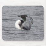 Common Loon Mousepad
