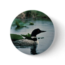 Common Loon on Water Pinback Buttons