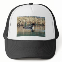 Common Loon on Water Mesh Hat
