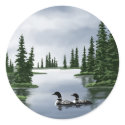 Common Loons stickers