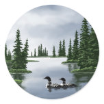 Common Loons stickers
